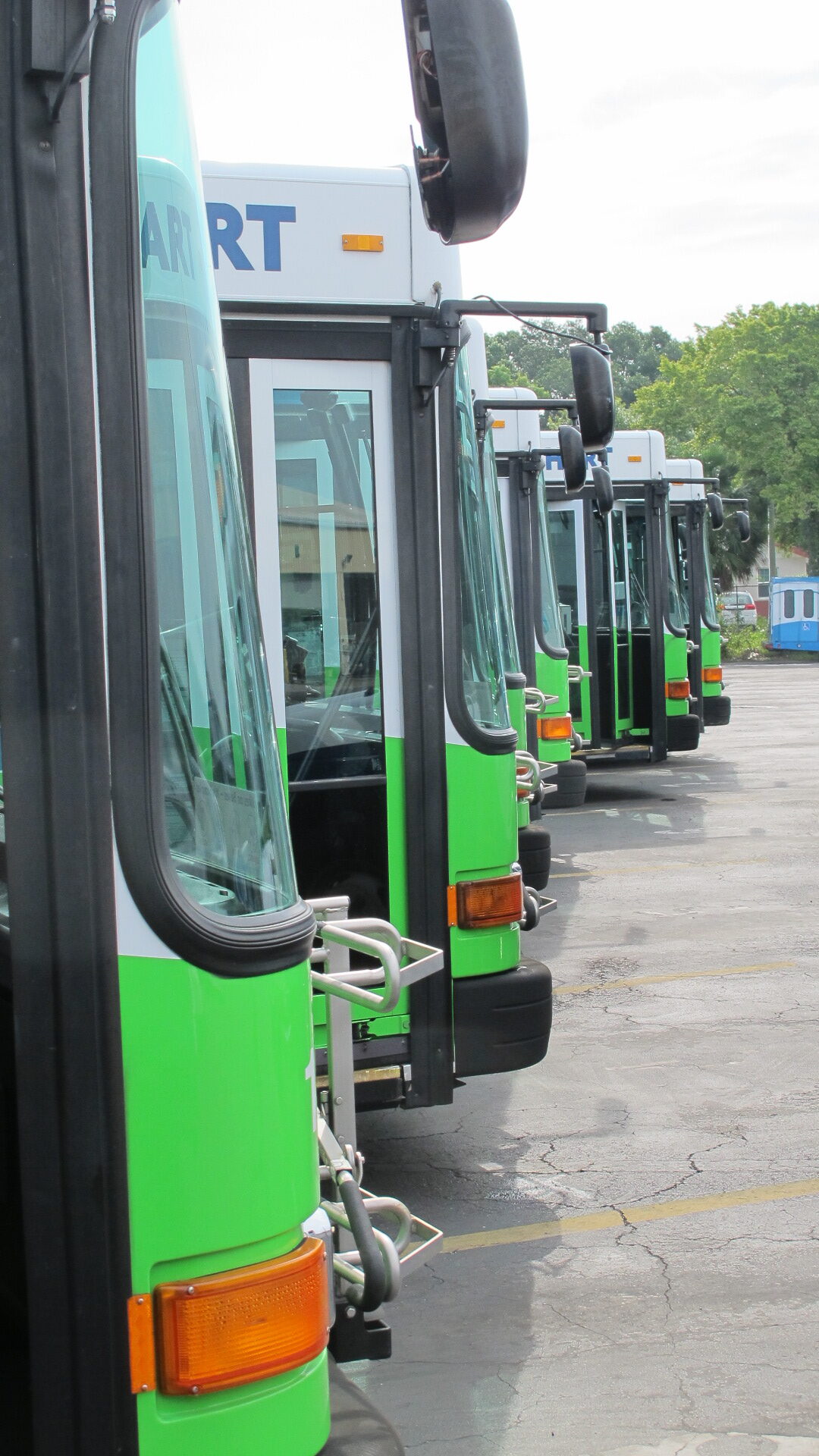 Row of city buses